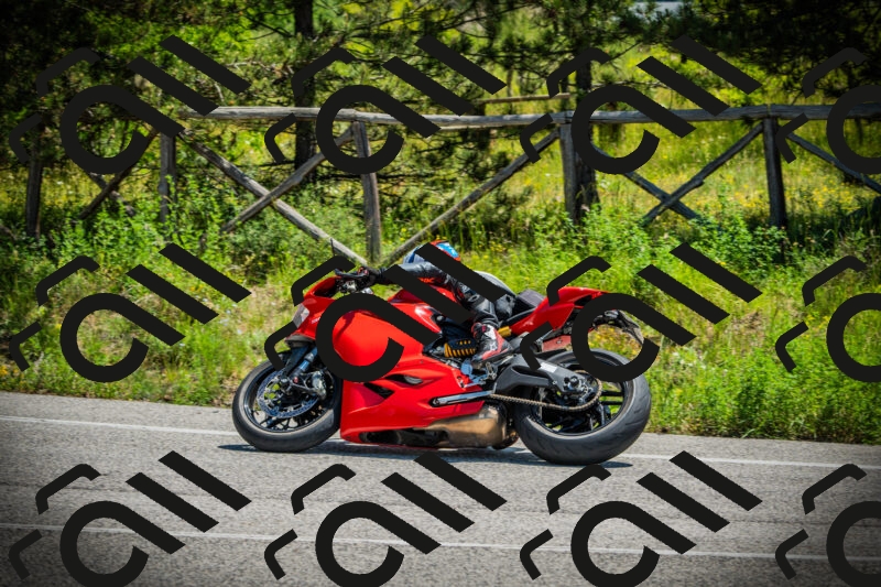 202506021207-DSC04323_c1_