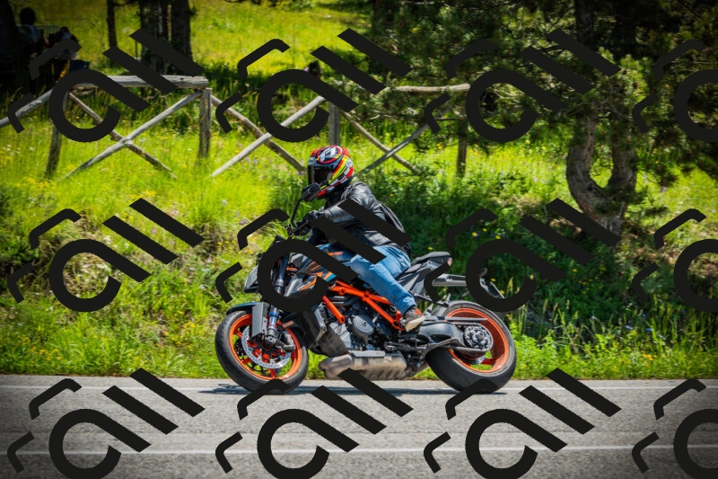 202506021207-DSC04324_c1_