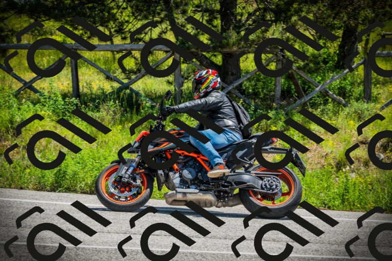 202506021207-DSC04325_c1_