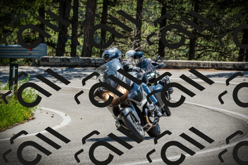 202506021208-DSC04331_c1_