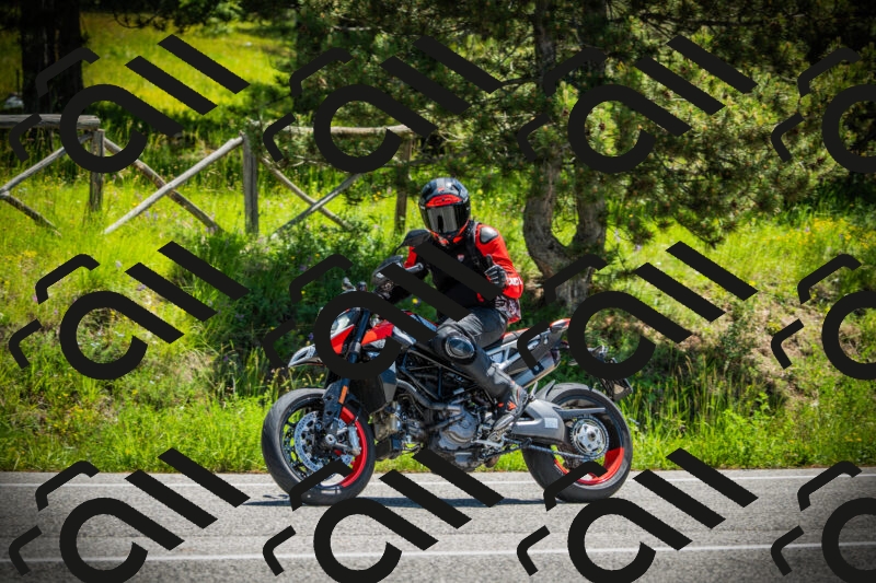 202506021208-DSC04339_c1_