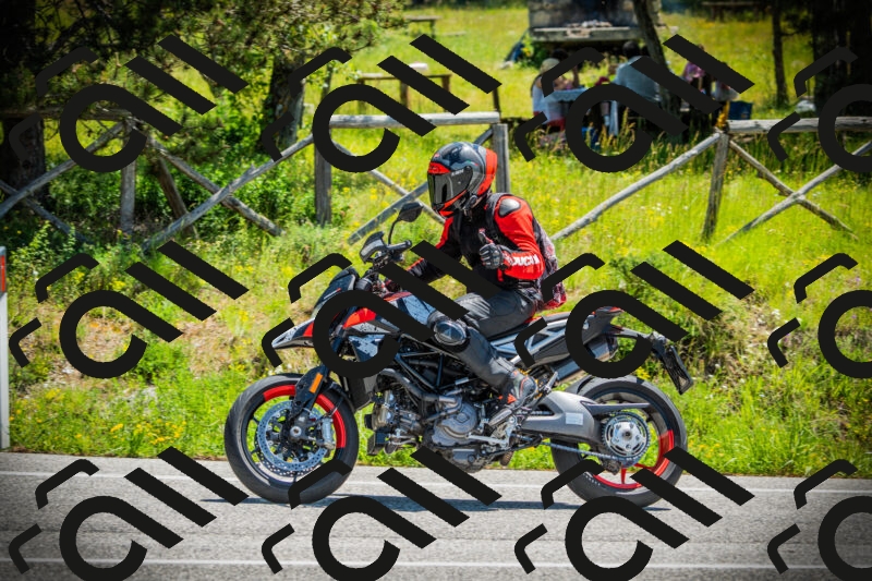 202506021208-DSC04340_c1_