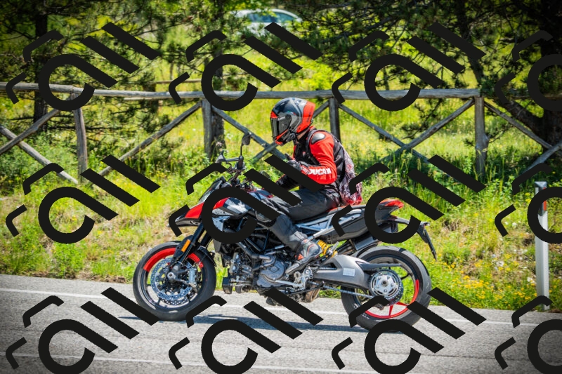 202506021208-DSC04341_c1_