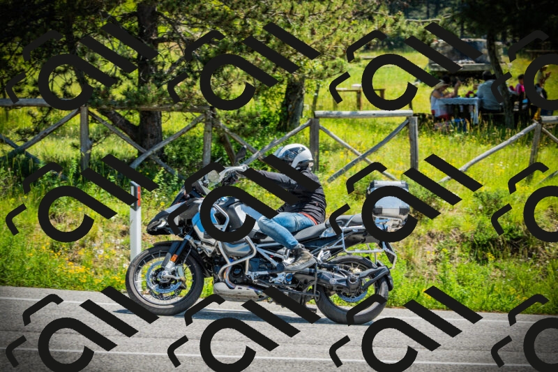 202506021208-DSC04346_c1_