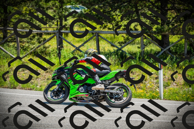 202506021208-DSC04347_c1_