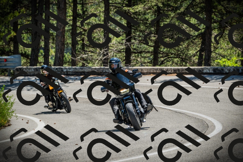 202506021209-DSC04350_c1_