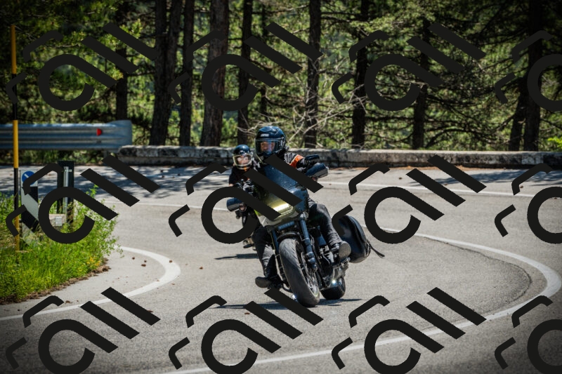 202506021209-DSC04351_c1_