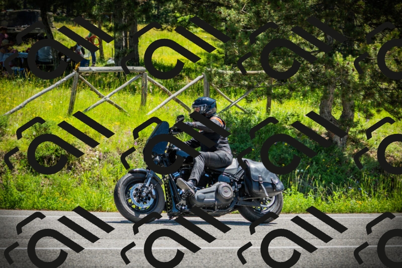 202506021209-DSC04353_c1_