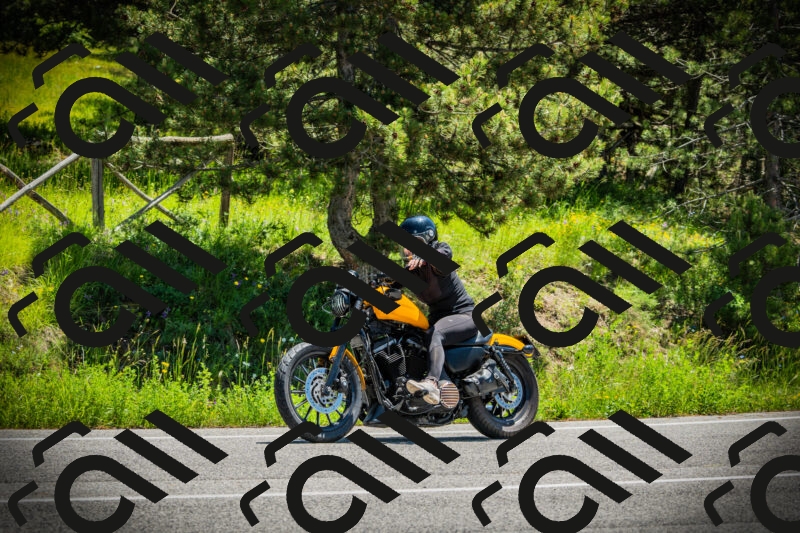 202506021209-DSC04354_c1_