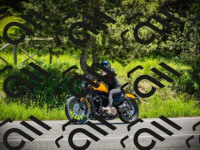 202506021209-DSC04354_c1_