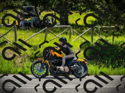 202506021209-DSC04355_c1_