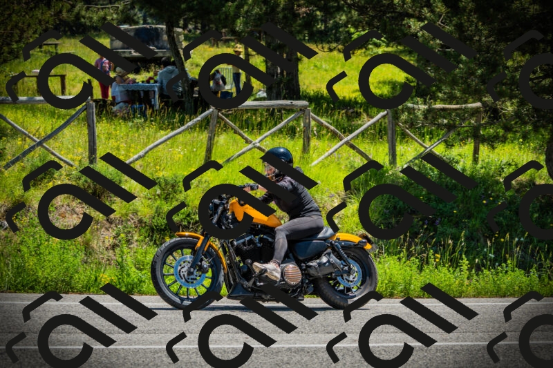 202506021209-DSC04355_c1_