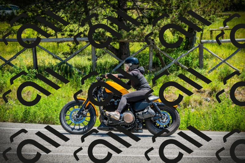 202506021209-DSC04356_c1_