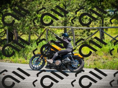 202506021209-DSC04357_c1_