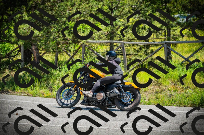 202506021209-DSC04357_c1_