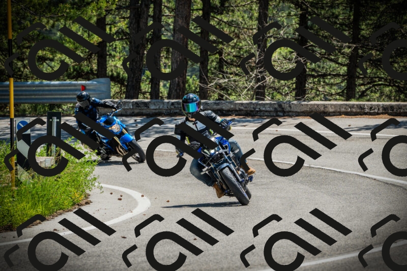 202506021209-DSC04358_c1_