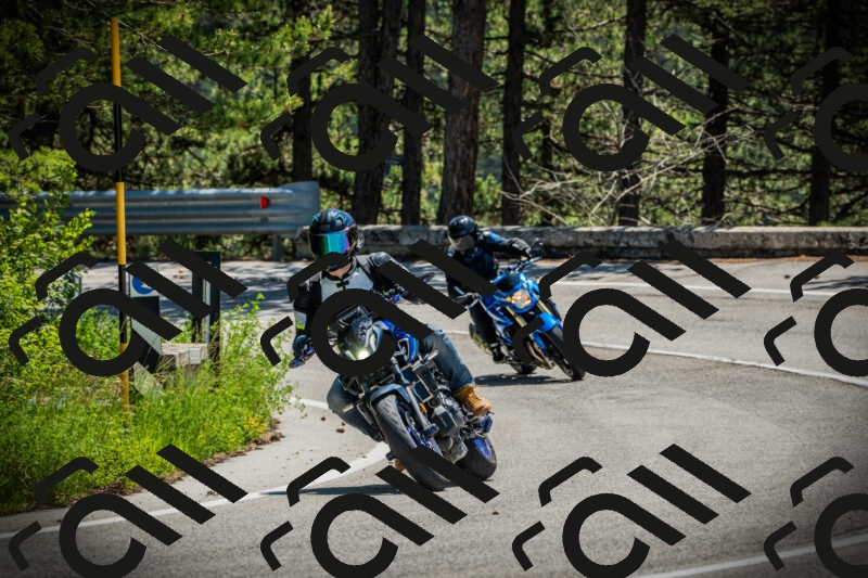 202506021209-DSC04359_c1_