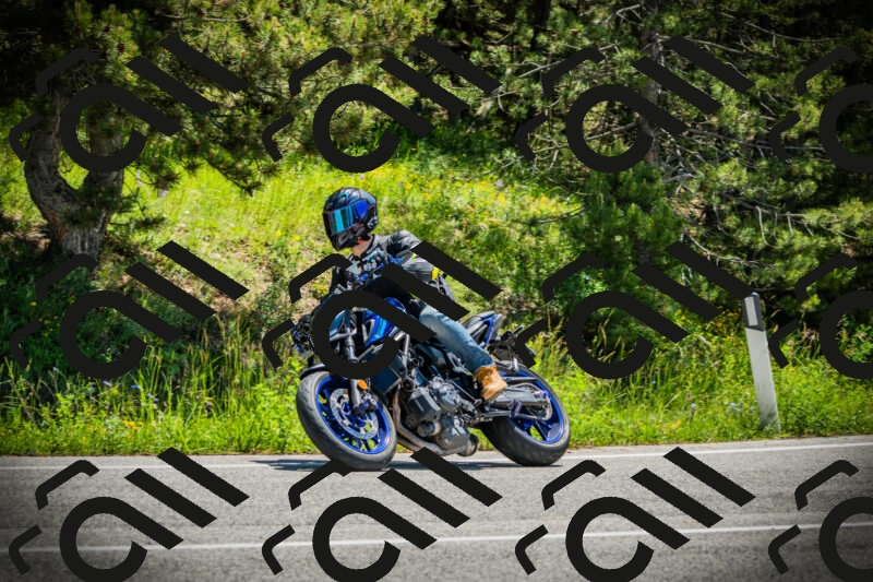 202506021209-DSC04360_c1_