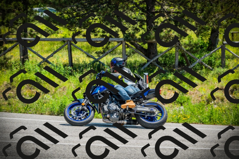 202506021209-DSC04361_c1_