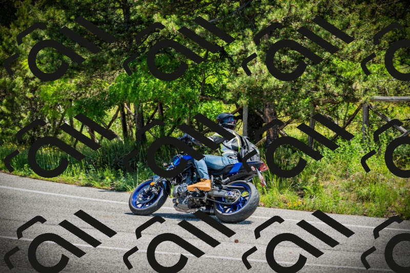 202506021209-DSC04362_c1_