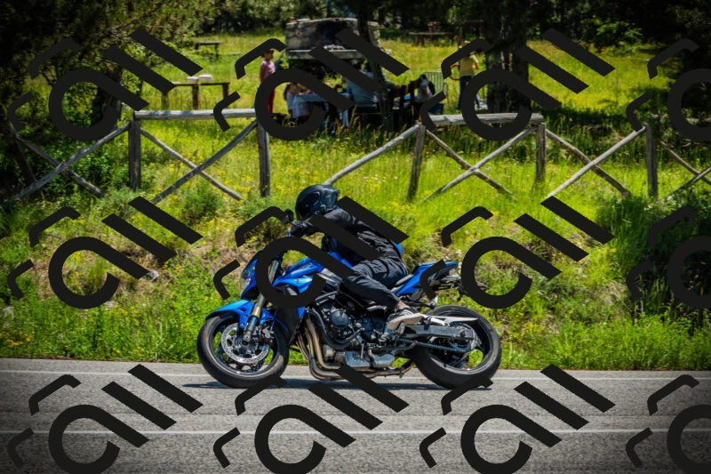 202506021209-DSC04363_c1_