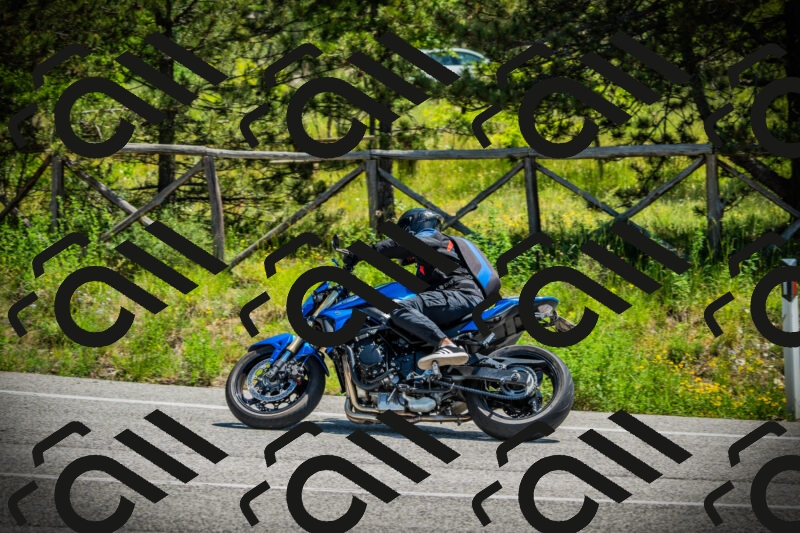 202506021209-DSC04364_c1_