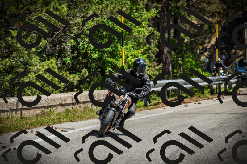 202506021210-DSC04365_c1_