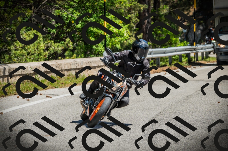 202506021210-DSC04366_c1_