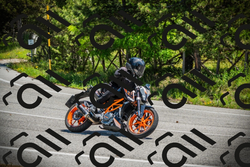 202506021210-DSC04367_c1_