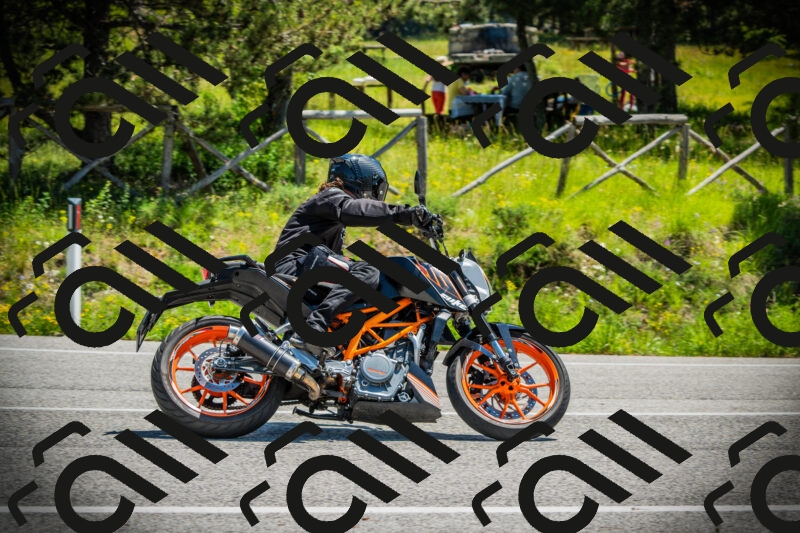 202506021210-DSC04368_c1_