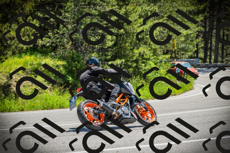 202506021210-DSC04369_c1_