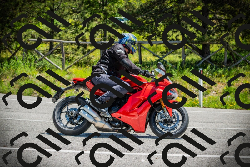 202506021210-DSC04377_c1_