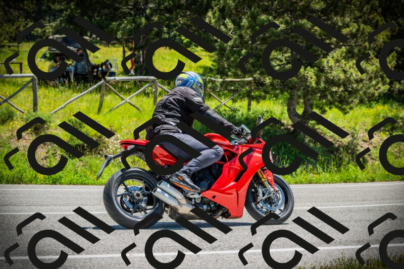 202506021210-DSC04378_c1_