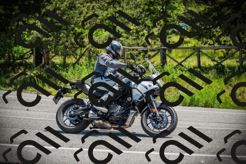 202506021210-DSC04379_c1_