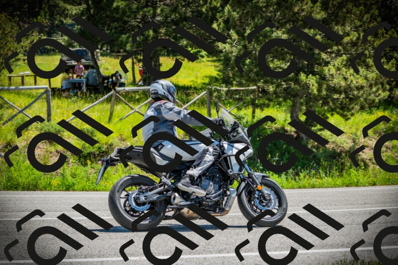 202506021210-DSC04380_c1_