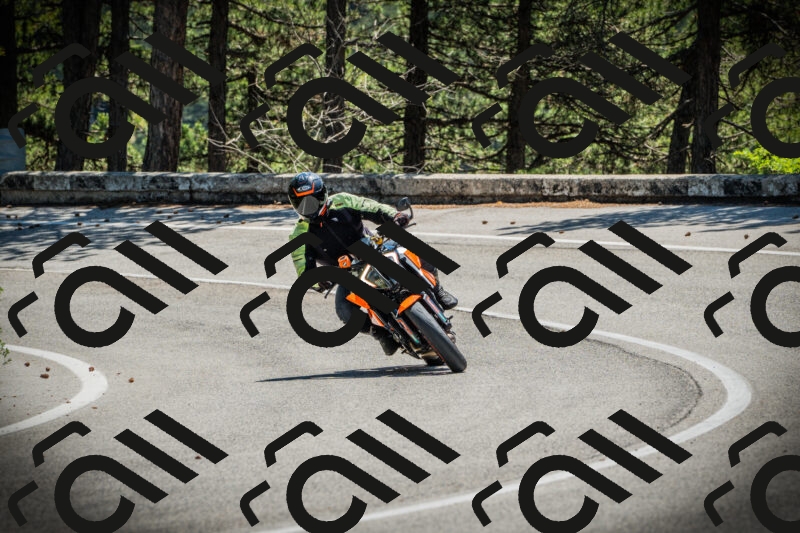 202506021211-DSC04382_c1_