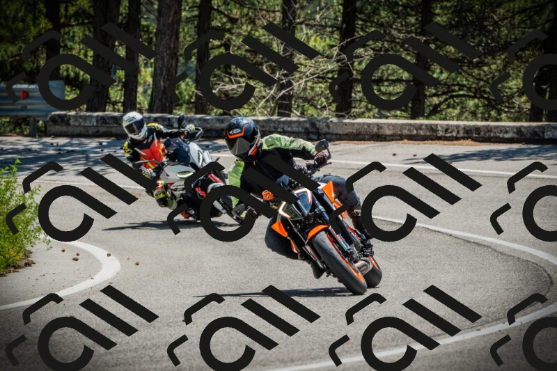 202506021211-DSC04383_c1_