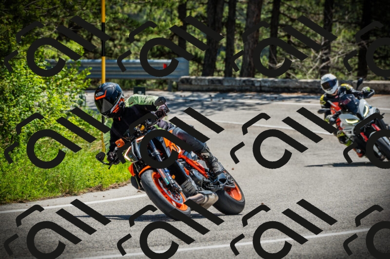 202506021211-DSC04384_c1_