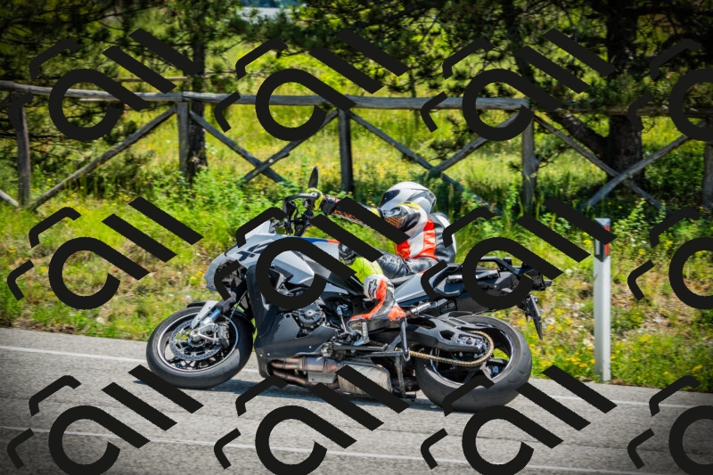 202506021211-DSC04386_c1_