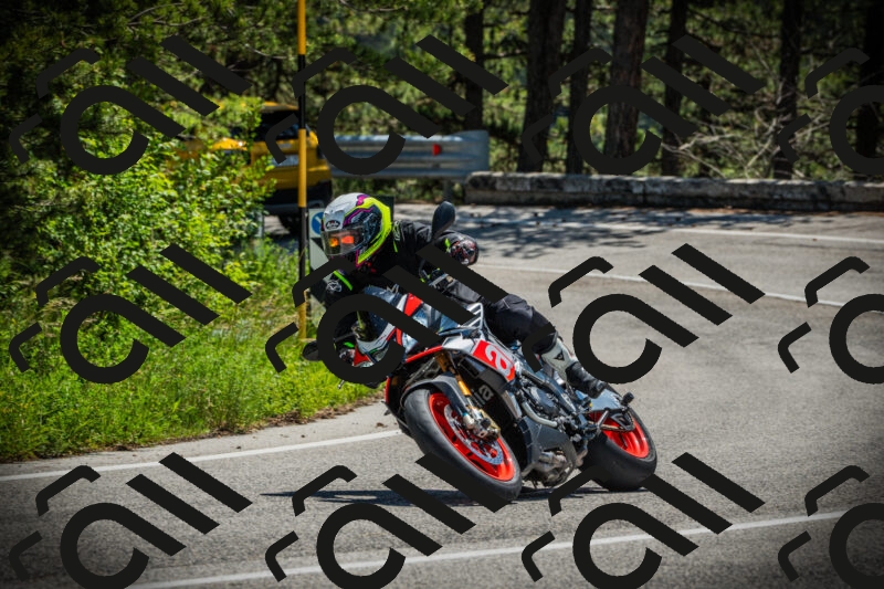 202506021211-DSC04389_c1_