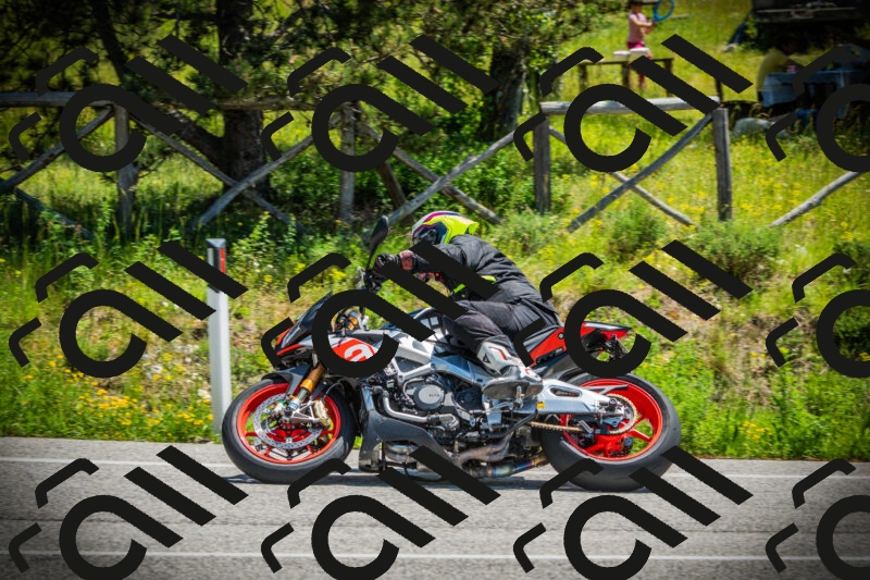 202506021211-DSC04390_c1_