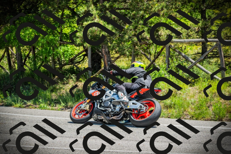 202506021211-DSC04391_c1_