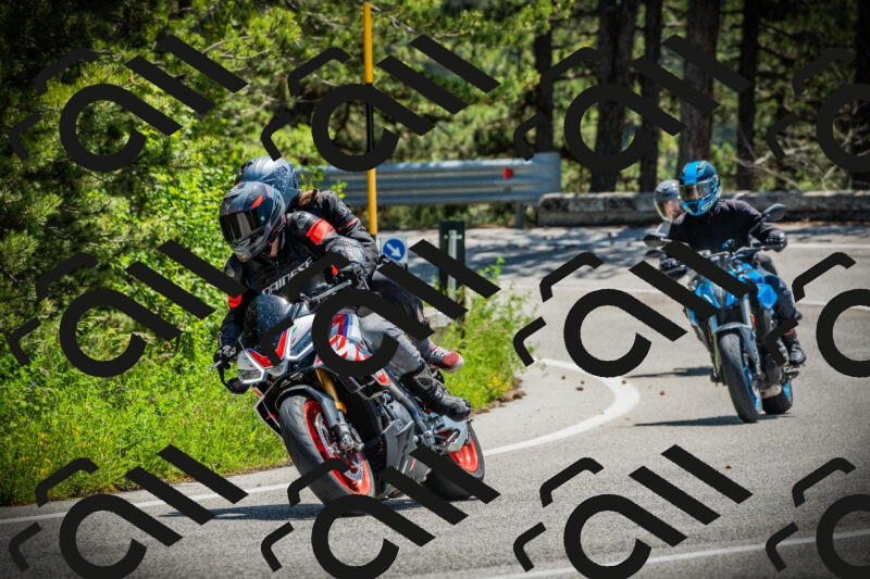 202506021211-DSC04395_c1_