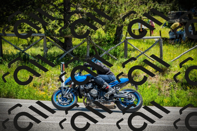 202506021211-DSC04397_c1_