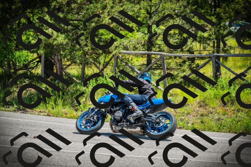 202506021211-DSC04398_c1_