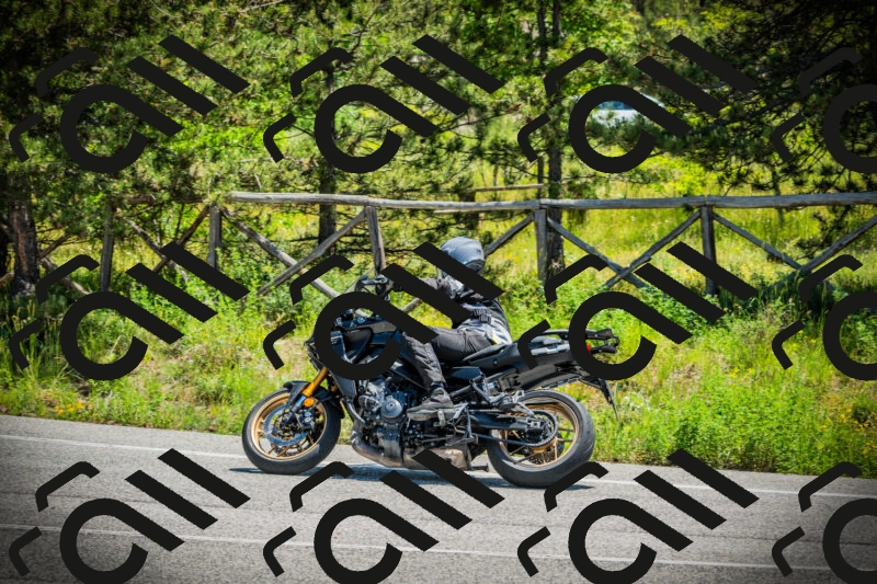 202506021211-DSC04399_c1_