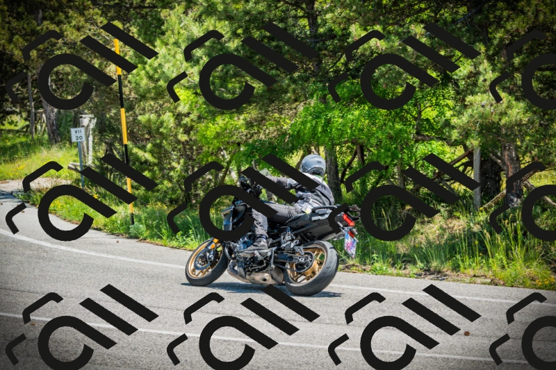 202506021211-DSC04400_c1_