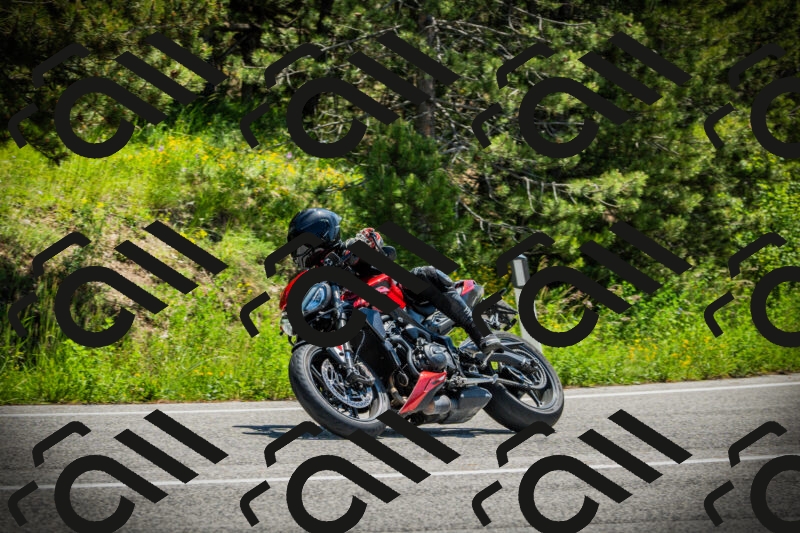 202506021212-DSC04402_c1_