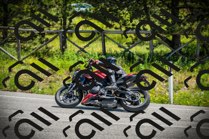 202506021212-DSC04403_c1_