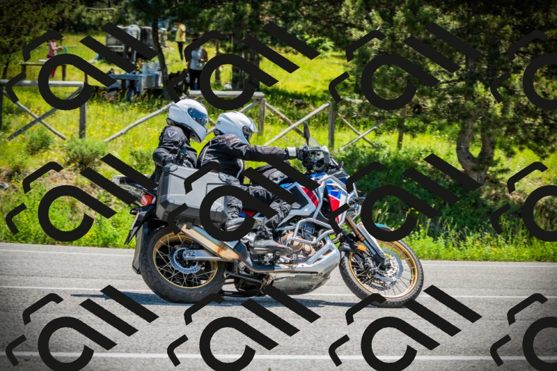 202506021212-DSC04409_c1_